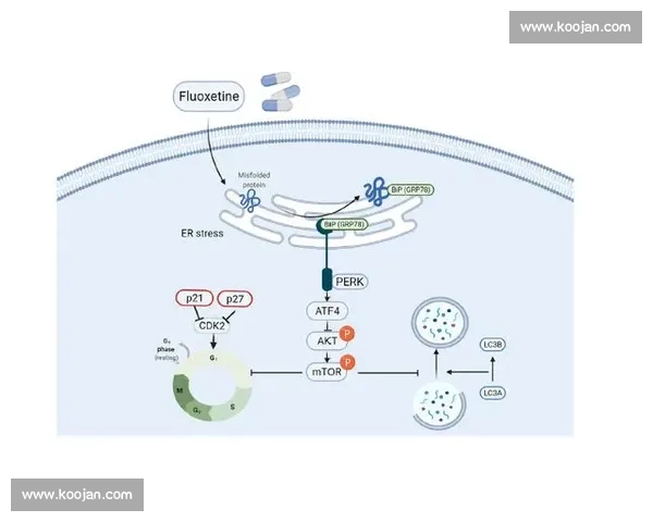 围绕电竞比赛目标控制策略优化与团队协同决策机制研究与实践路径探索